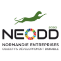 Logo de NEODD 2030