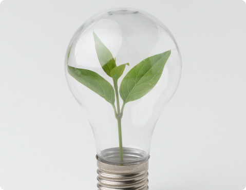Photo illustrant le Numérique Responsable avec une plante à l'intérieur d'une ampoule
